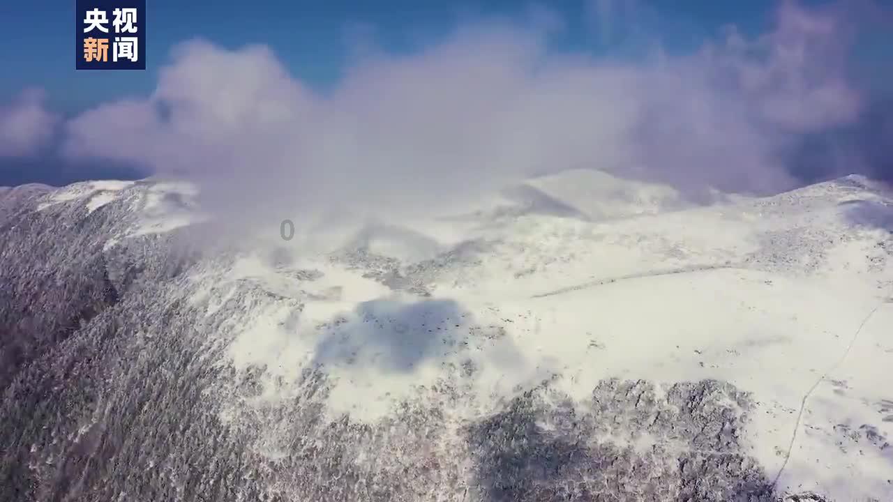 天下3