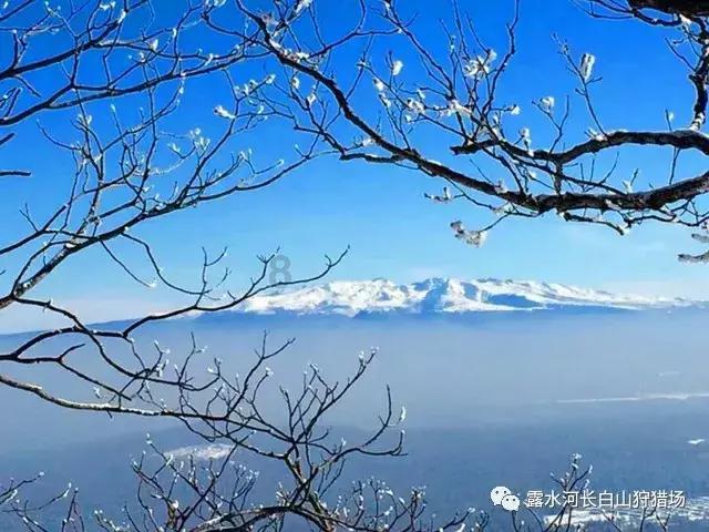 逃离医生的家
