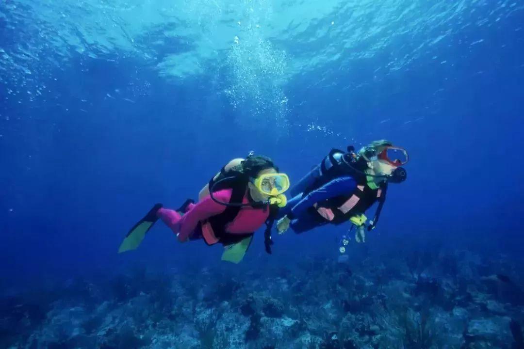 模拟山羊