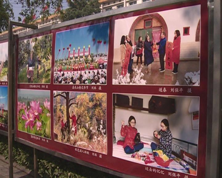 逃离荒废丛林屋