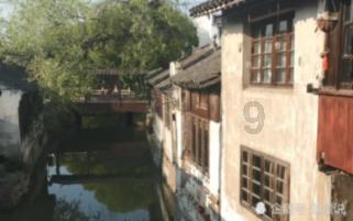 细胞分裂4
